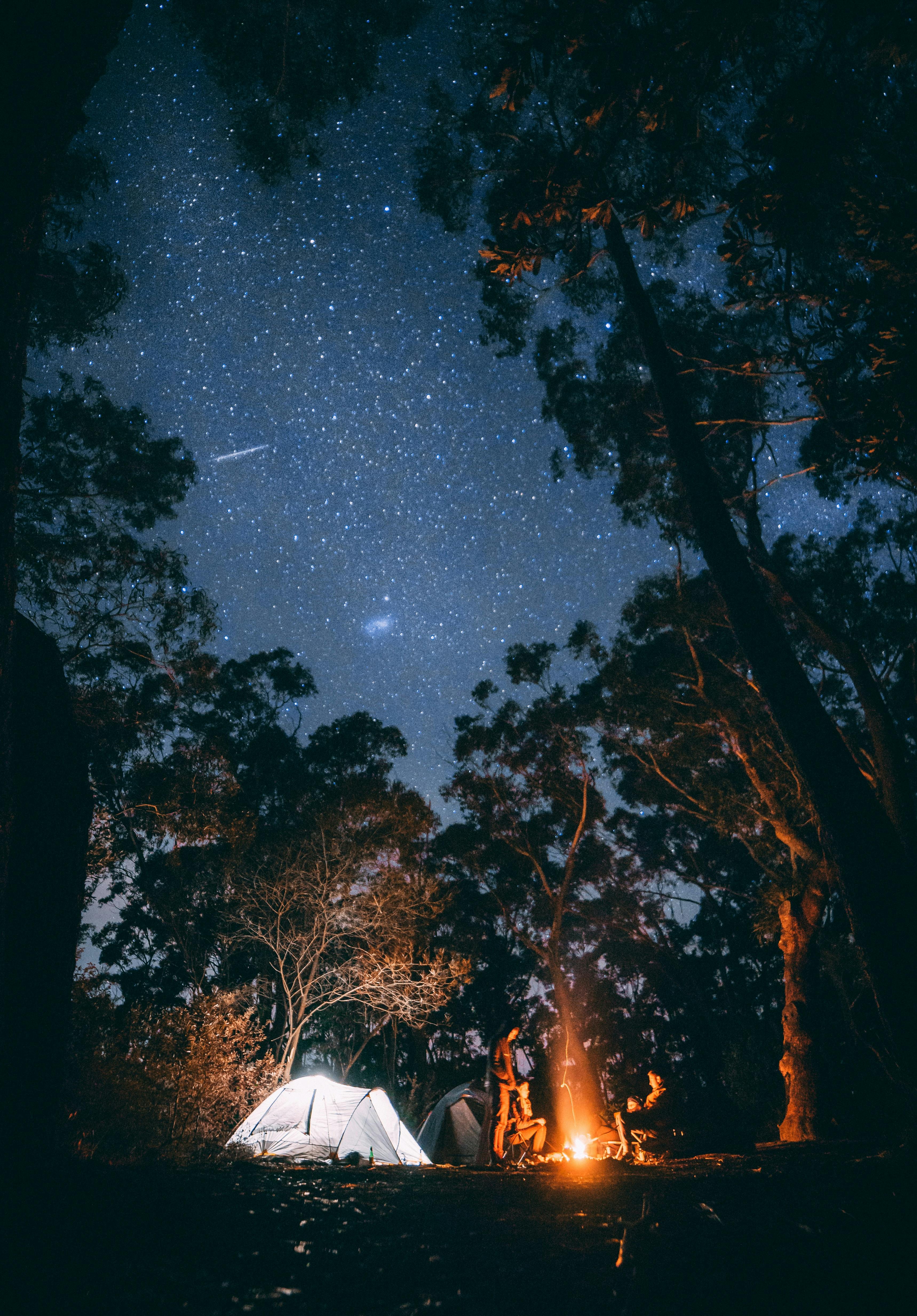 friends camping together